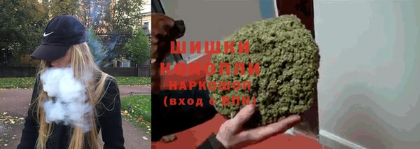 крисы Белокуриха