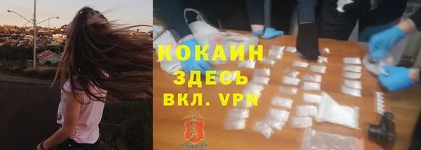 трава Беломорск