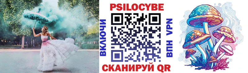 закладки Краснозаводск OMG зеркало Псилоцибиновые грибы Magic Shrooms
